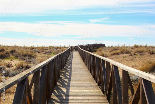 wooden beach pathway