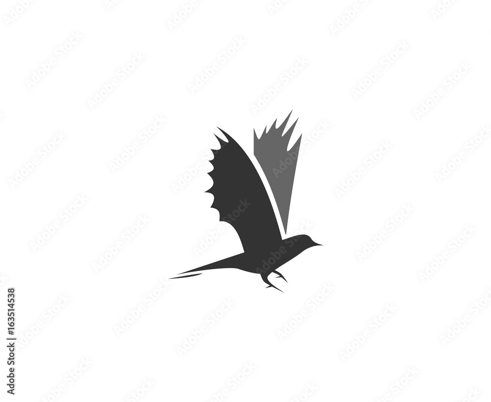 Obraz premium Bird logo