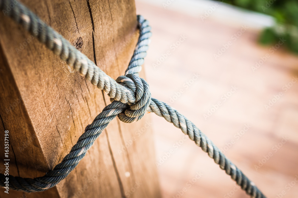 Male hands tie a rope tree,Rope knot line tied together with nature background,as a symbol for trust, teamwork or collaboration.