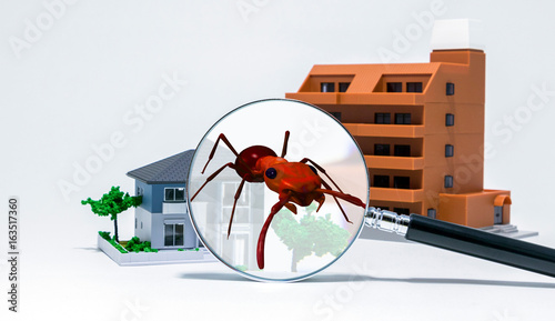 Photos Pest control of residence concept. 3D rendered fire ant.