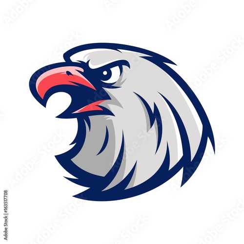 eagle falcon bird animal wild mascot sport logo illustration vector 