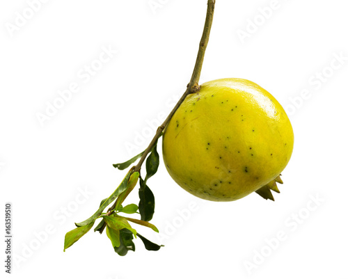 Isolated Thai Yellow Pomegranate with Leaf