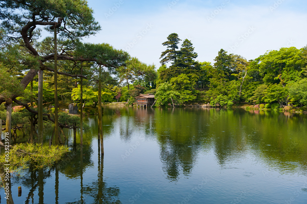 Fototapeta premium 金沢兼六園