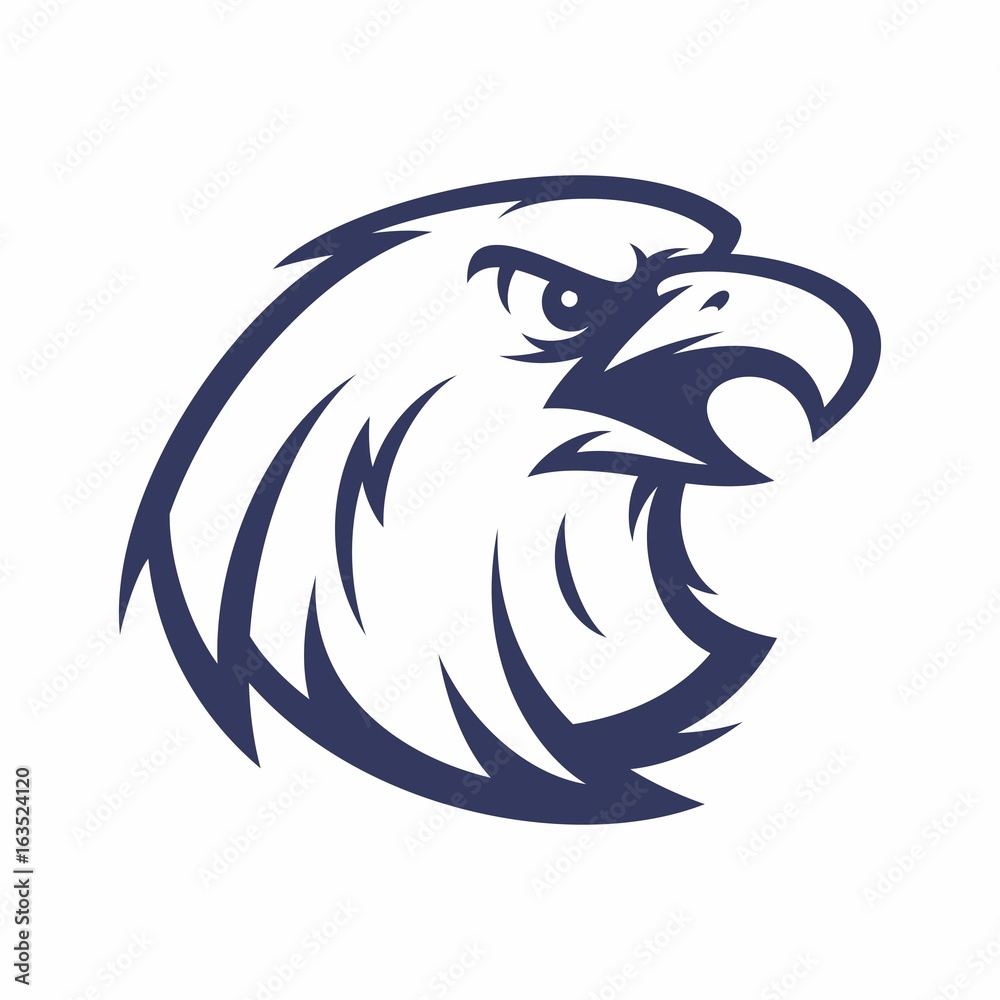 eagle falcon bird animal wild mascot sport logo illustration vector