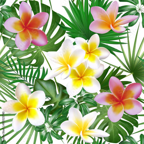 Seamless exotic pattern with tropical plants. Big plumeria flowers with palm leaf. Vector illustration.