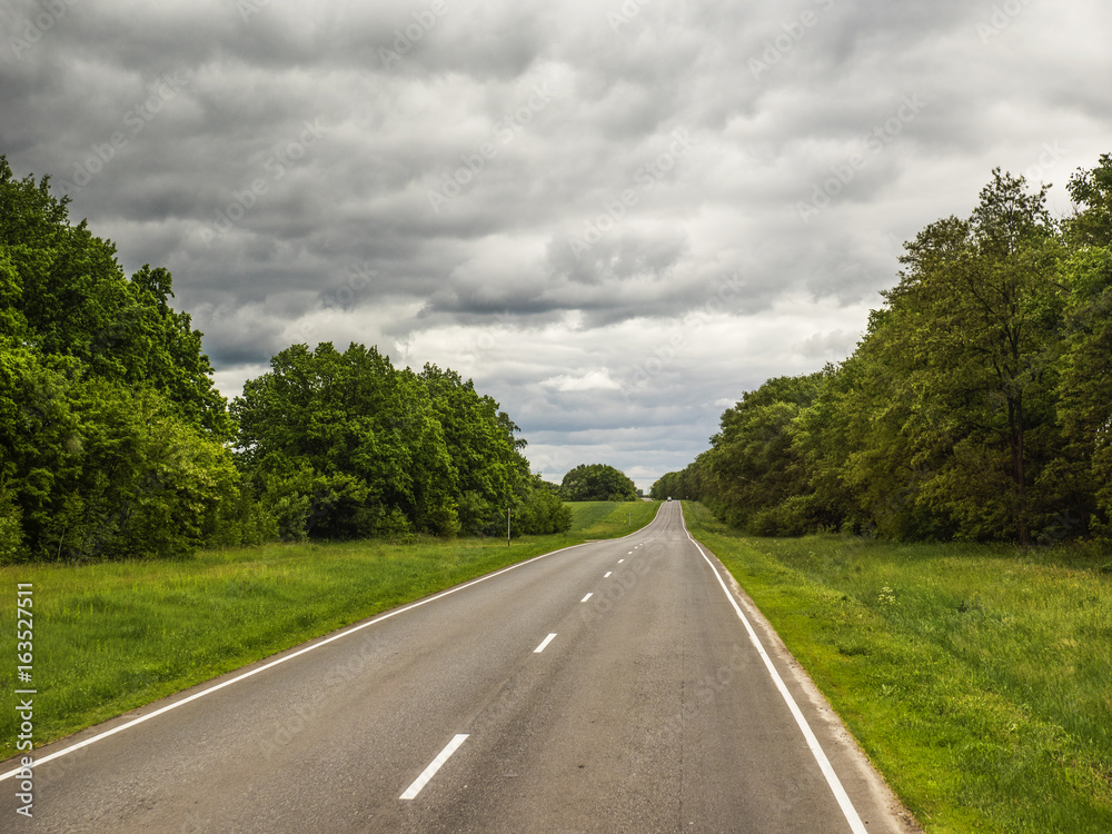 Fototapeta premium Road Amidst Trees