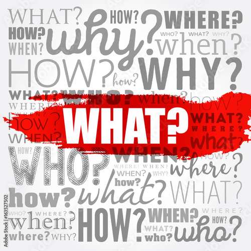 WHAT? - Questions whose answers are considered basic in information gathering or problem solving, word cloud background