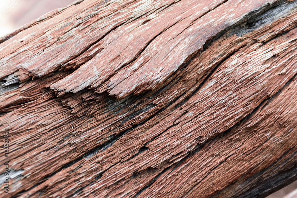Fototapeta premium wooden texture background.