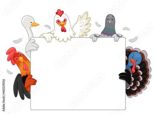 Farm Animals Poultry Board