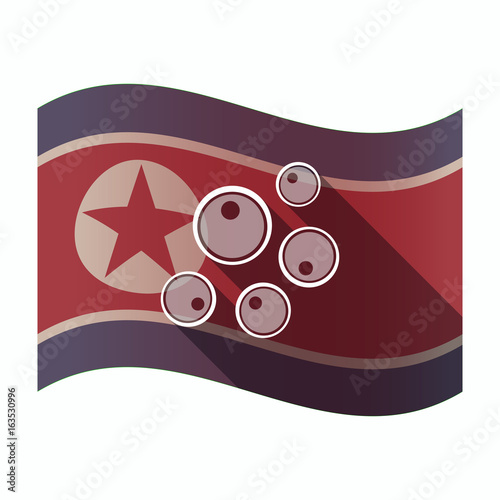 Long shadow North Korea flag with oocytes