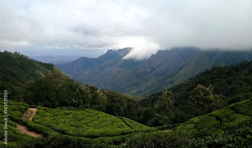 A scenic view of the western ghats near Munnar, Tamil Nadu