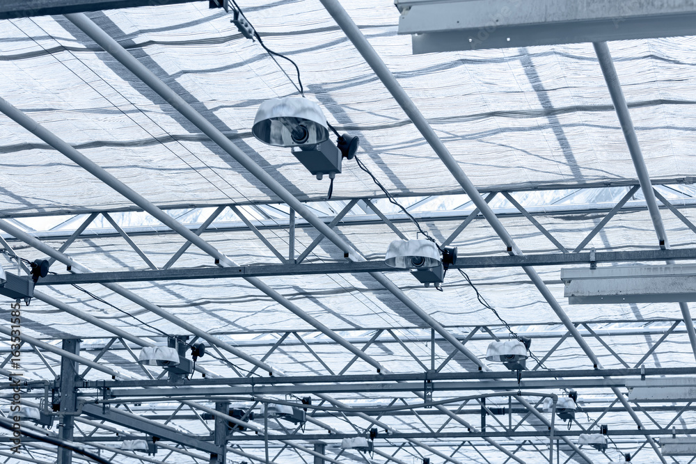 transparent roof inside greenhouse. structural glass ceiling.