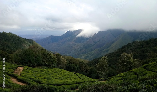 A scenic view of the western ghats near Munnar, Tamil Nadu © amoghdesign