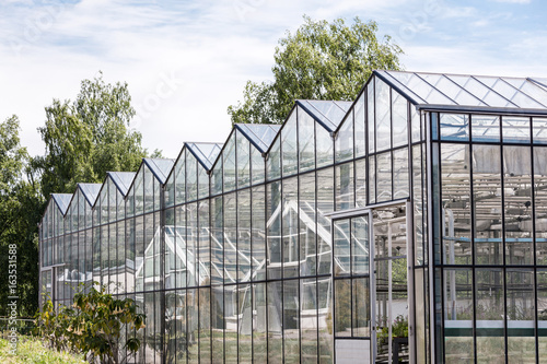 glass facade of greenhouse in garden against cloudy sky © Mr Twister