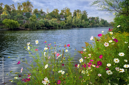 Beautiful flowers over river © vlad61_61