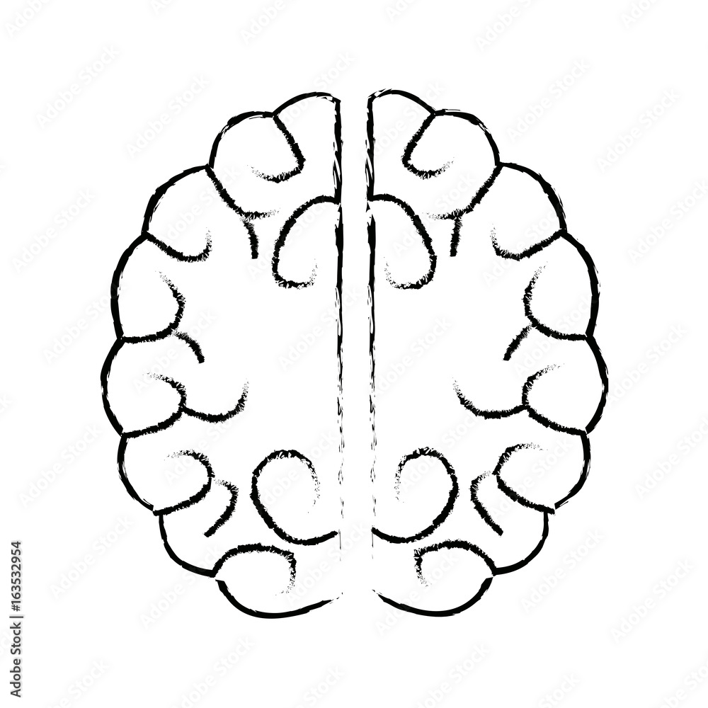 human brain idea innovation thinking memory human brain idea innovation thinking memory