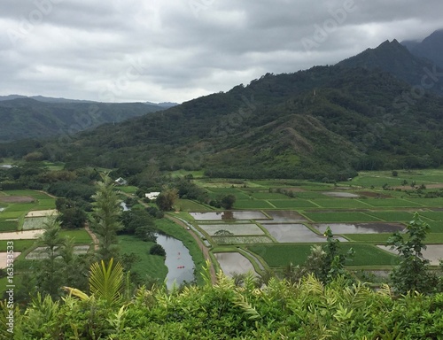 Hanalei Valley Taro Fields Lookout photo