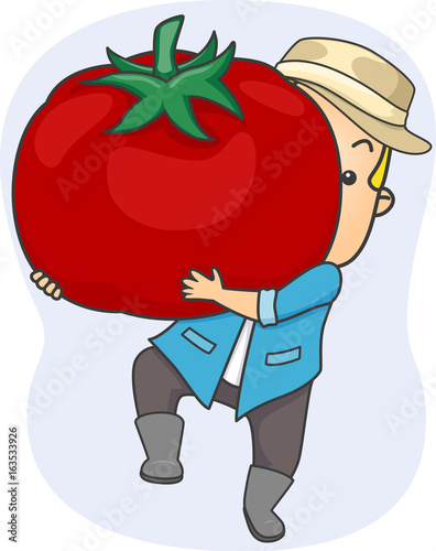 Man Harvest Big Tomato Illustration