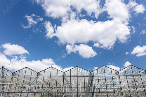 large commercial greenhouse glass facade against blue cloudy sky © Mr Twister