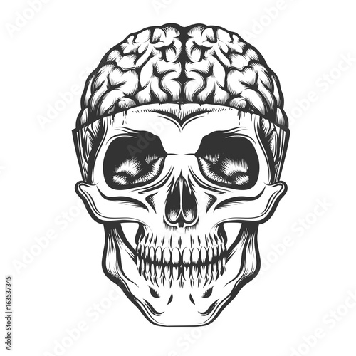 Skull with Open Brain