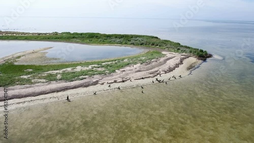 Astonishing view on little island in the Black sea from bird`s eye perspective with lonely black cormorants and white seagulls flying over it and sitting on a curvy sand beach in a sunny day photo