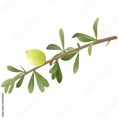 Argan