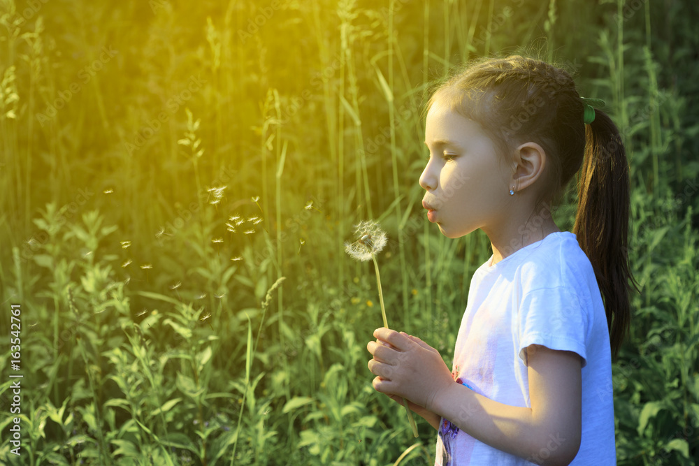 Beautiful child blowing away dandelion flower in spring. Beautiful child blowing away dandelion flower in spring.
