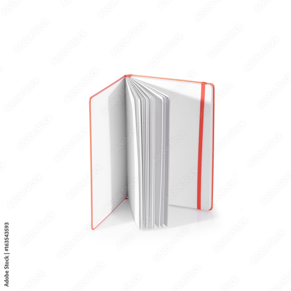 The book on white background