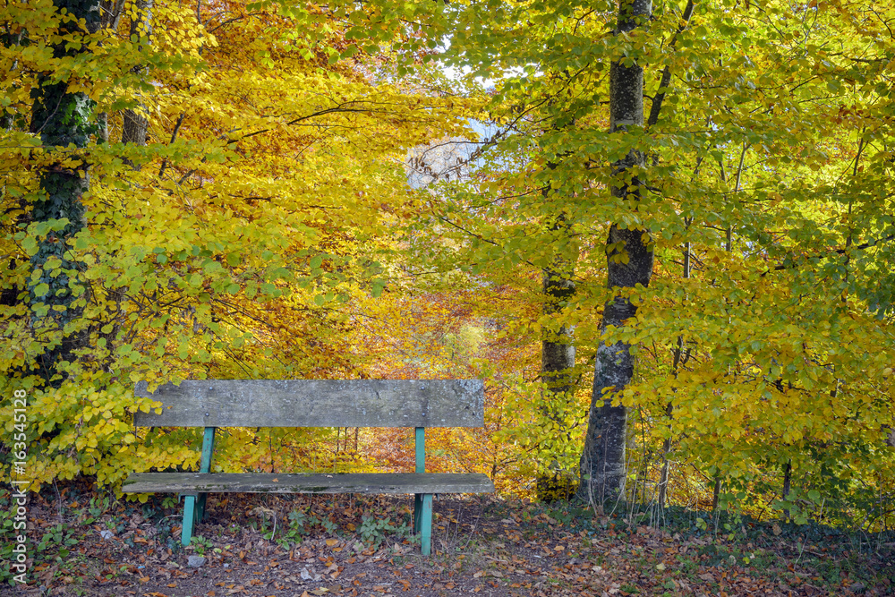 Little bench for hikers in a forest with autumn colors, Haute Savoie, France Little bench for hikers in a forest with autumn colors, Haute Savoie, France