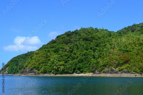 A tropical island covered with vegetation. Philippines