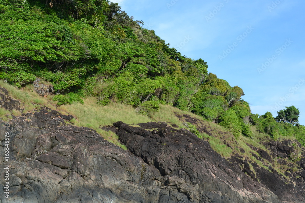 A rock, covered with vegetation. Philippines