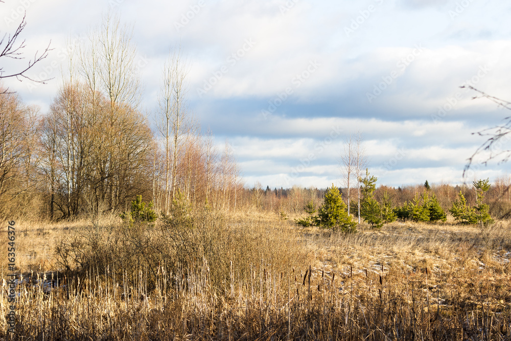 Landscape with field Landscape with field