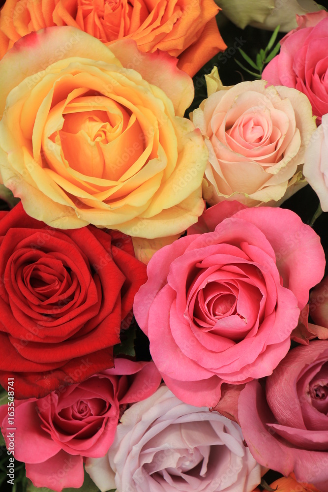 Obraz premium Colorful wedding roses