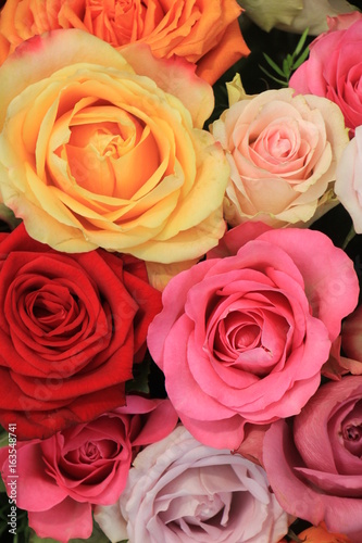 Colorful wedding roses