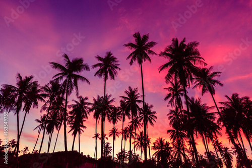 Silhouette of coconut trees against dramatic red sunset sky background. © Teeranon