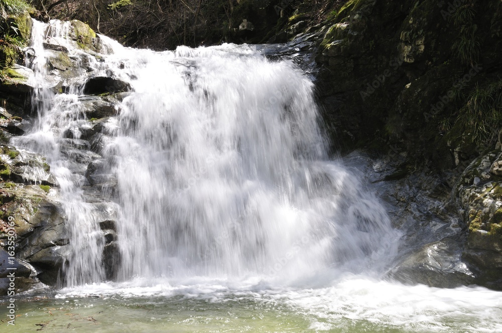 Obraz premium 的様の滝