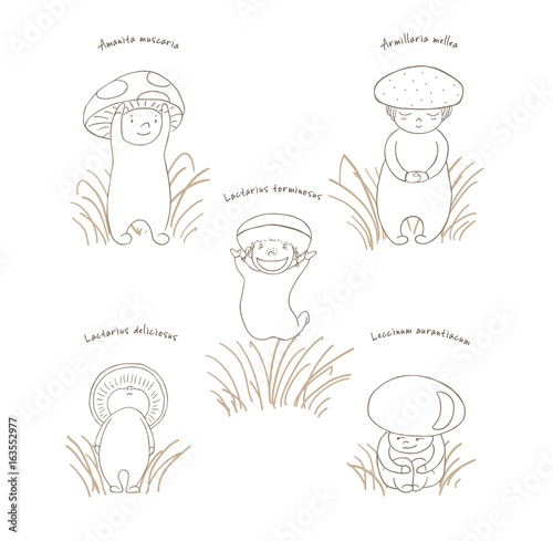 Hand drawn vector illustration of cute mushrooms with Latin names: fly amanita, red capped scaber stalk, honey fungus, woolly milk cap, saffron milk cap.