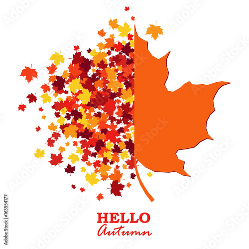 Autumn greeting card with scattered maple leaves and half maple leaf shape.  Design concept poster in traditional Fall colors - orange, yellow, red, brown. Vector illustration. Isolated