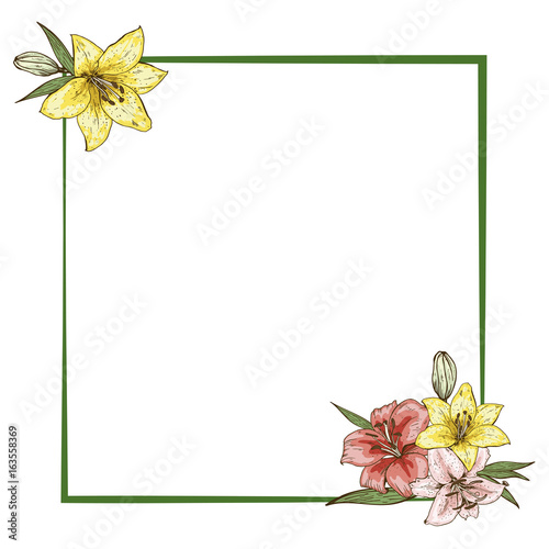 Colorfull lily flowers in frame isolated on white background. Ready template for your design. Vector illustration.