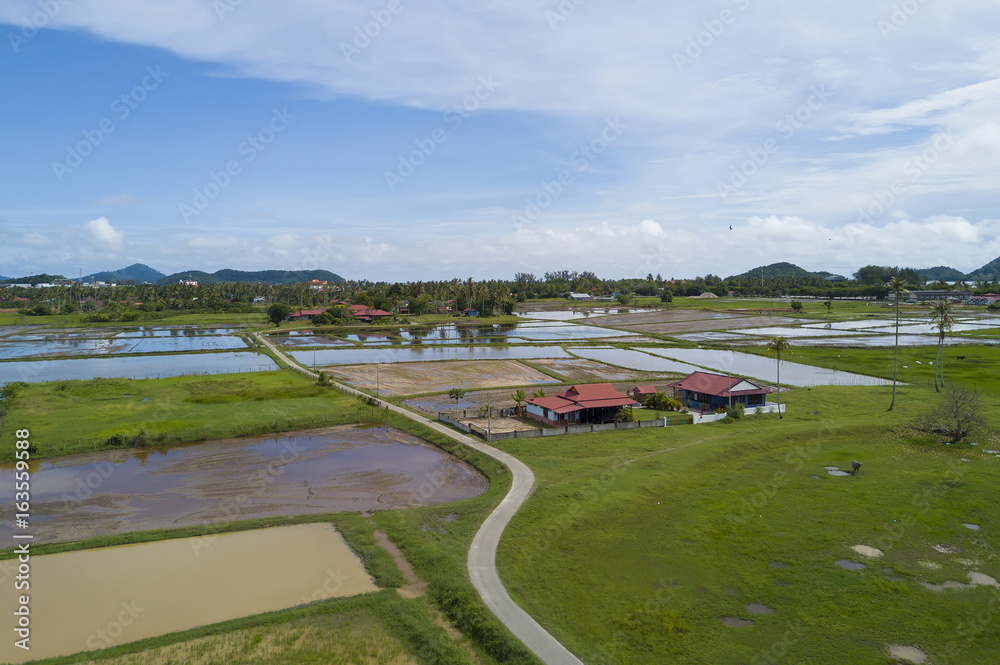 Arial view of beatiful green paddy field with blue sky at Langkawi Island.