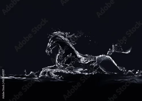 Obraz Sylwetka działającego konia z wody na czarnym tle.