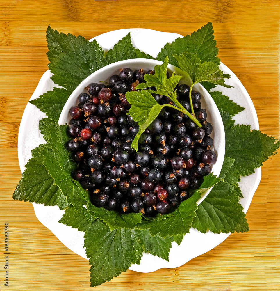 Wet currant with leaves on a white plate. Wet currant with leaves on a white plate.