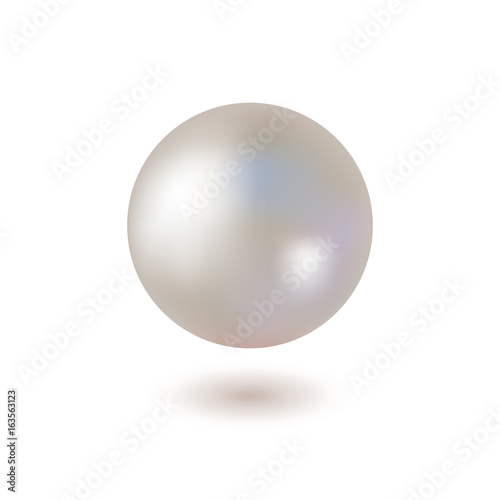 Shiny Pearl on White Background. Vector