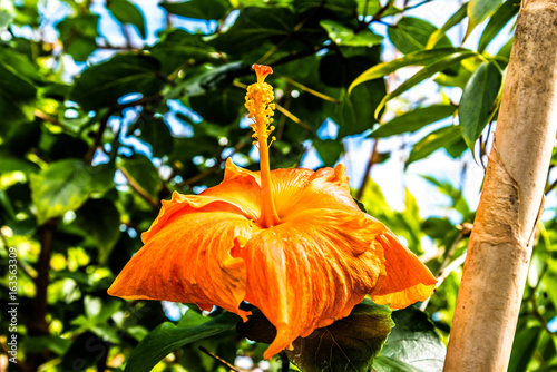 Royal Botanic Garden Edinburgh