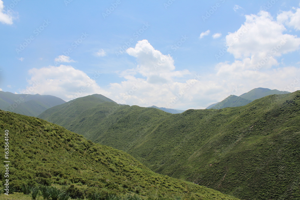 Obraz premium Summer Landscape in Amdo Tibet Qinghai China Asia