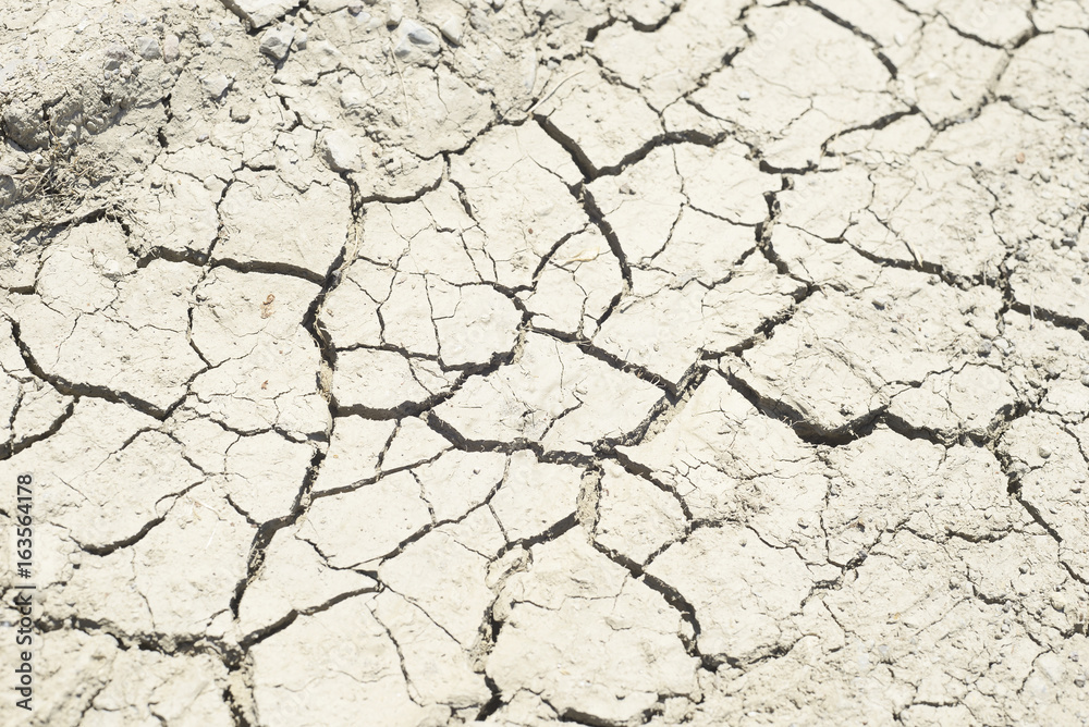 arid soil arid soil
