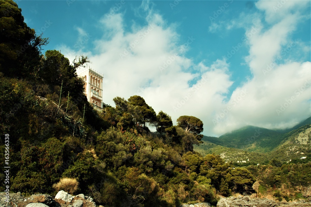 Fototapeta premium House on a hill.