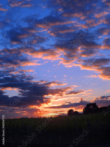 Purple Sunset