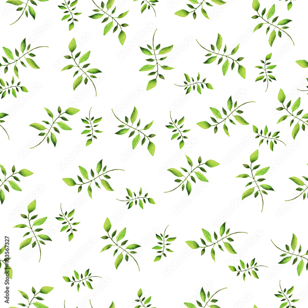 Seamless pattern with elegance green branches on white background. Hand drawn watercolor illustration.