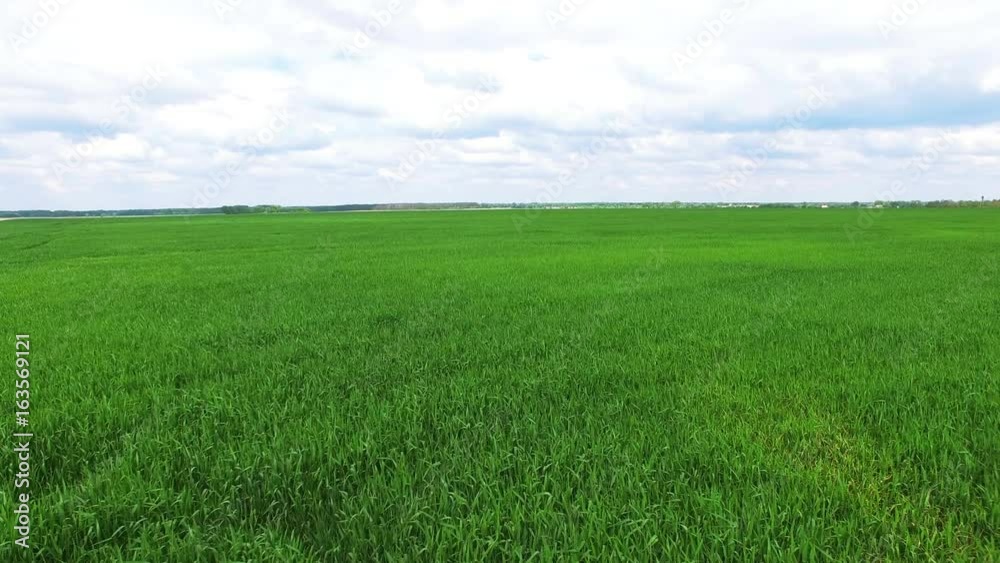 4K .Aerial. Lateral Fly over green agricultural summer fields. Farmer team 4K .Aerial. Lateral Fly over green agricultural summer fields. Farmer team